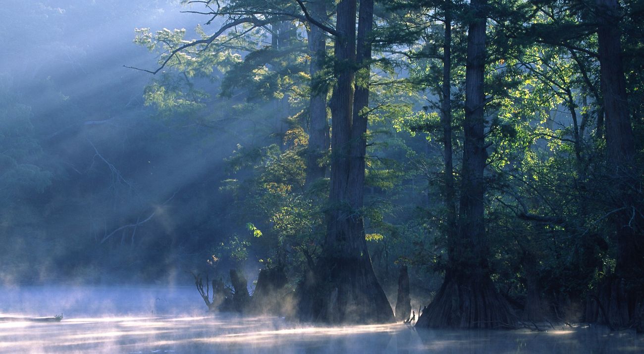 Hatchie River