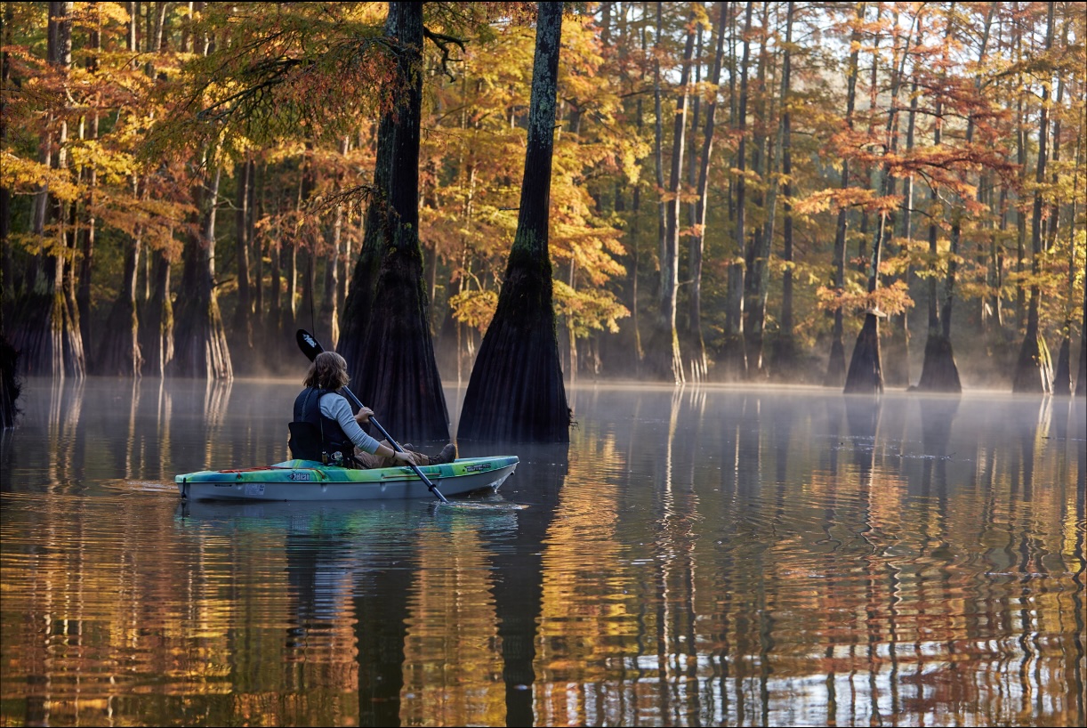 Hatchie River