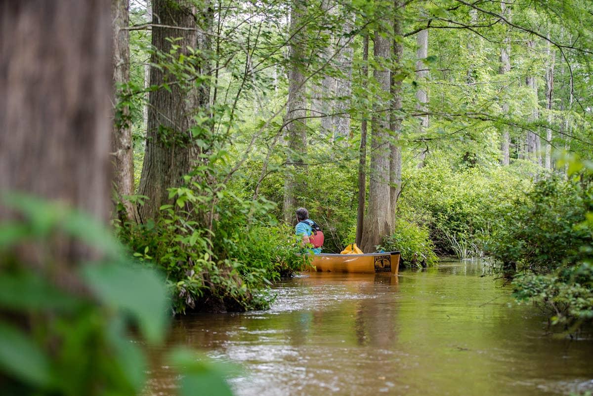 Hatchie River