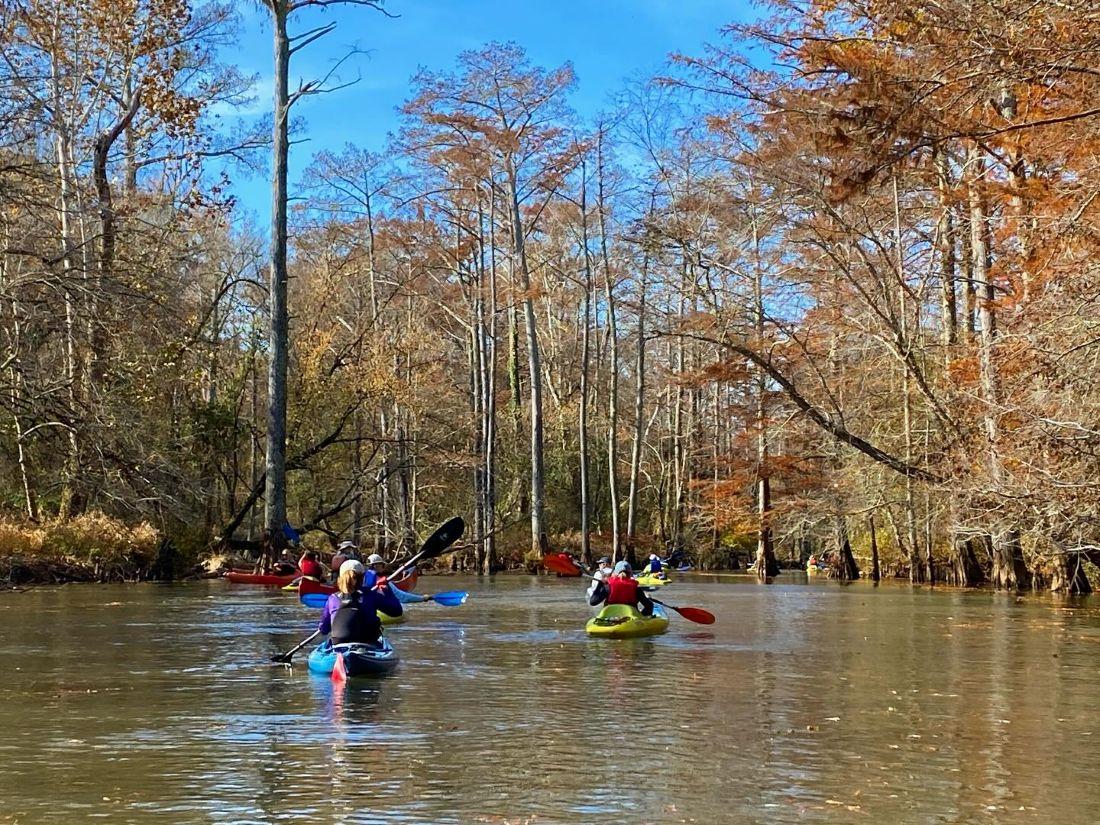 Hatchie River