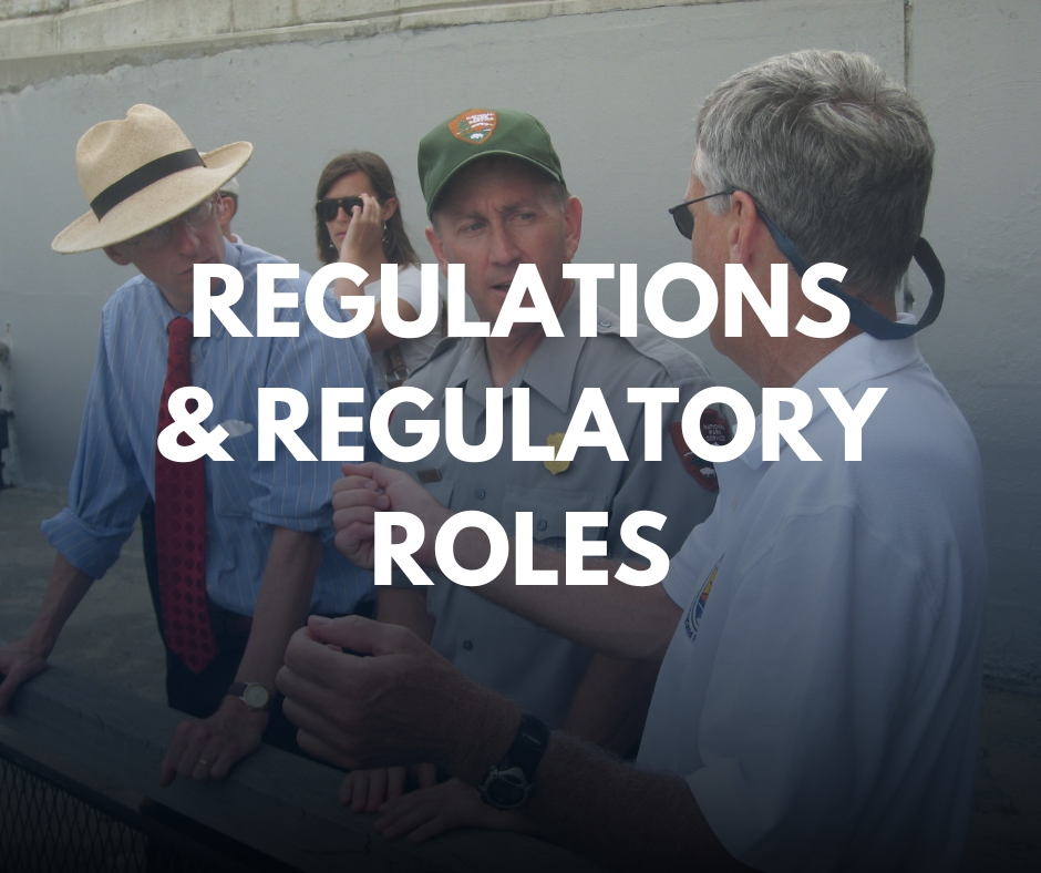Regulations and Regulatory Roles