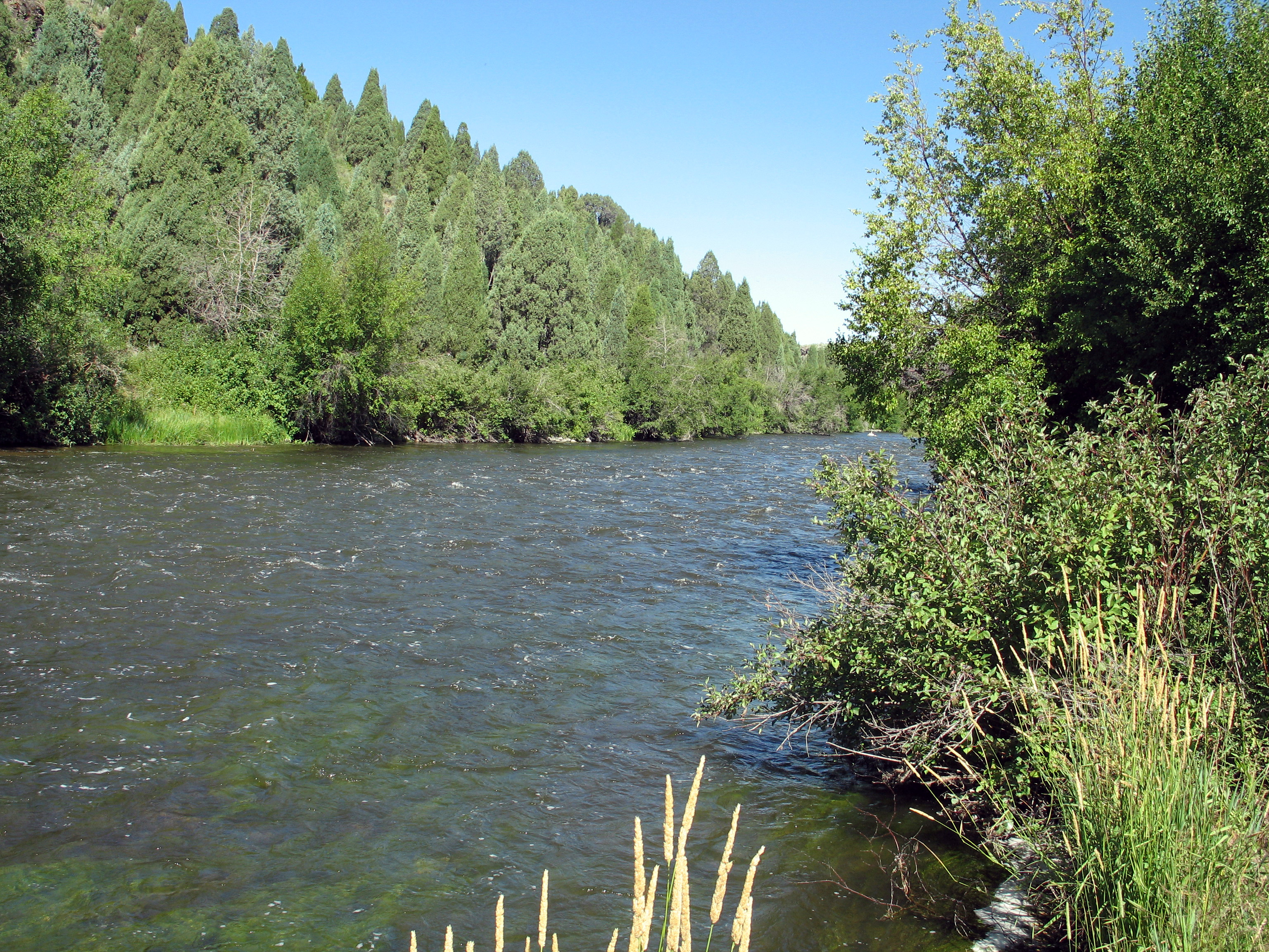 Blackfoot River