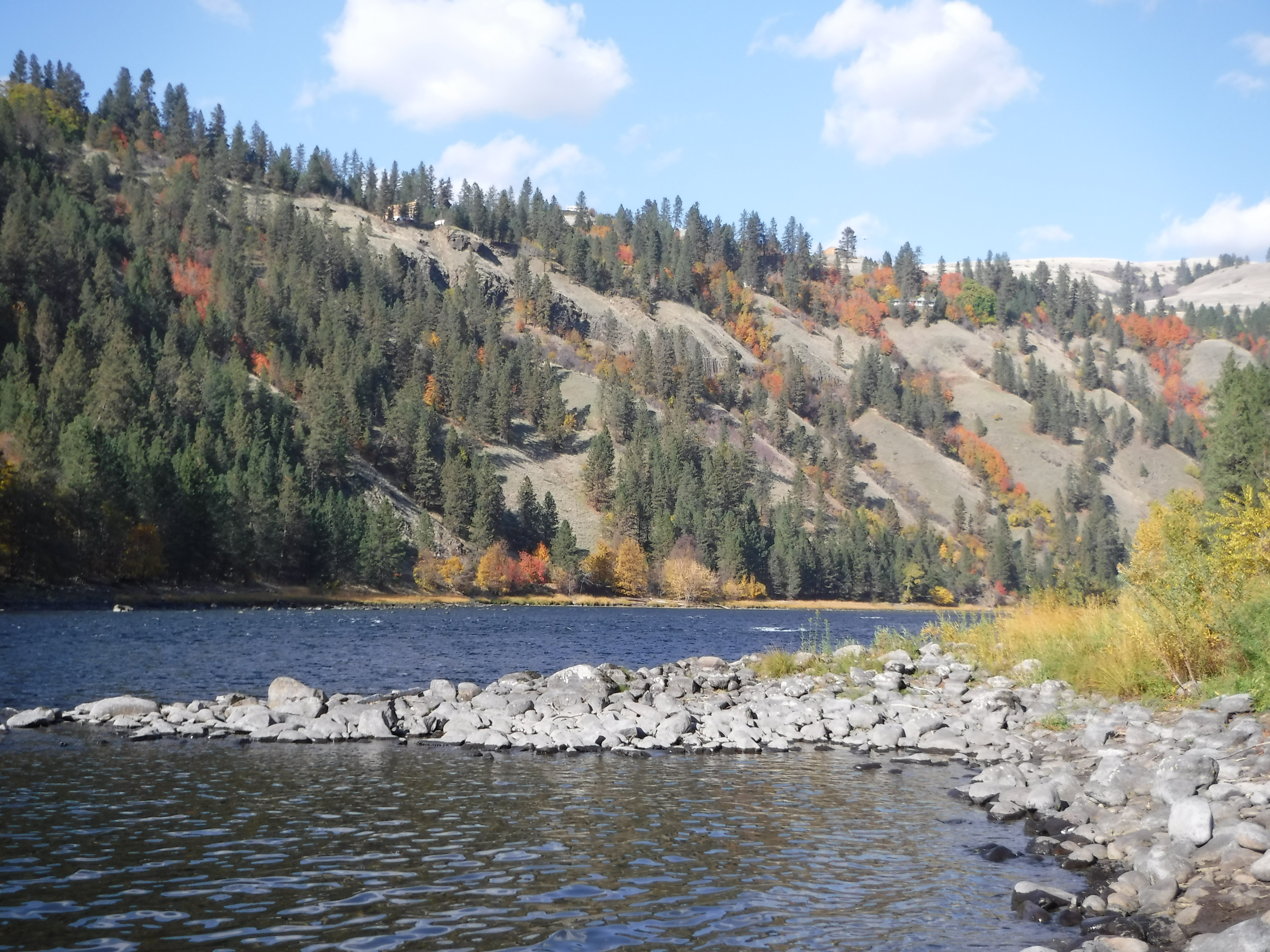 Clearwater River at Harper's Bend