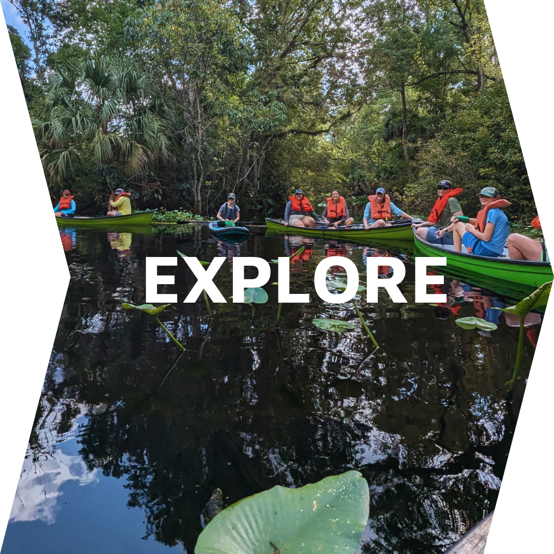 Explore