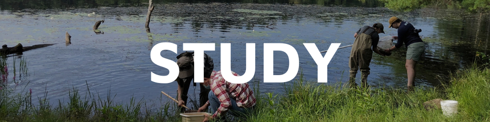 Study Section Study Section