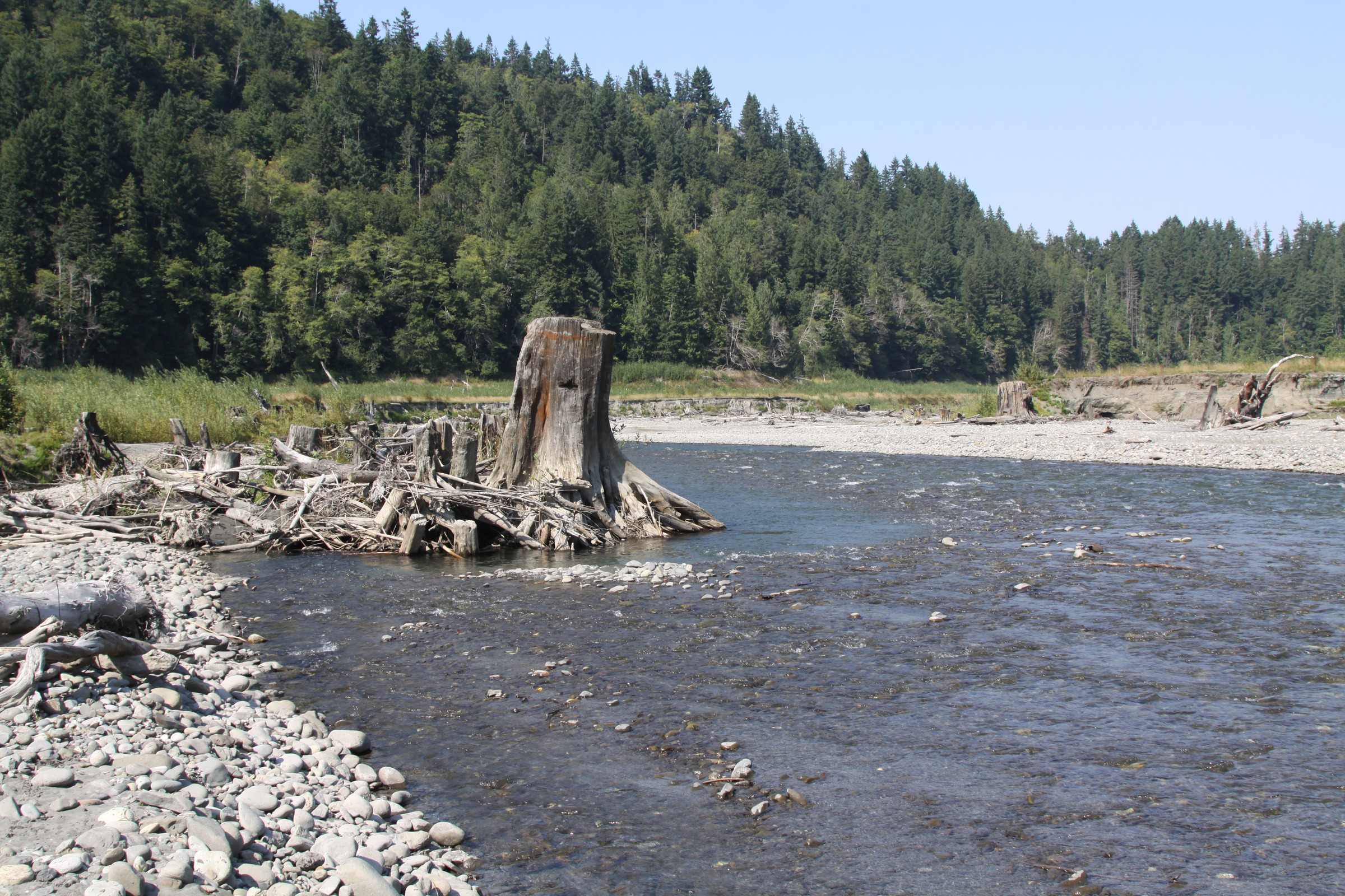 River Bank